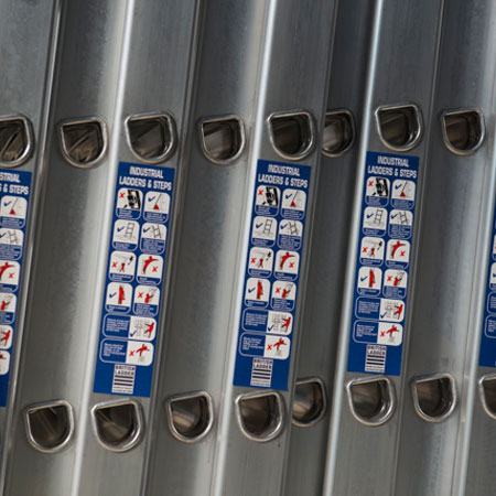 Single Section Ladder