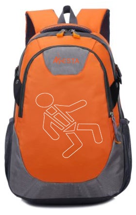 ARESTA MEWP Kit 4S - Double Point Safety Harness - standard buckle - 2m Adjustable Webbing Lanyard - Screw-gate Carabiner x2 - Kit Bag